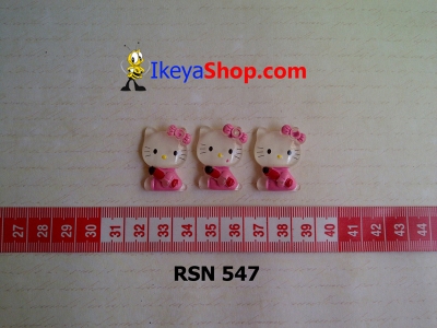 rsn 547  large2